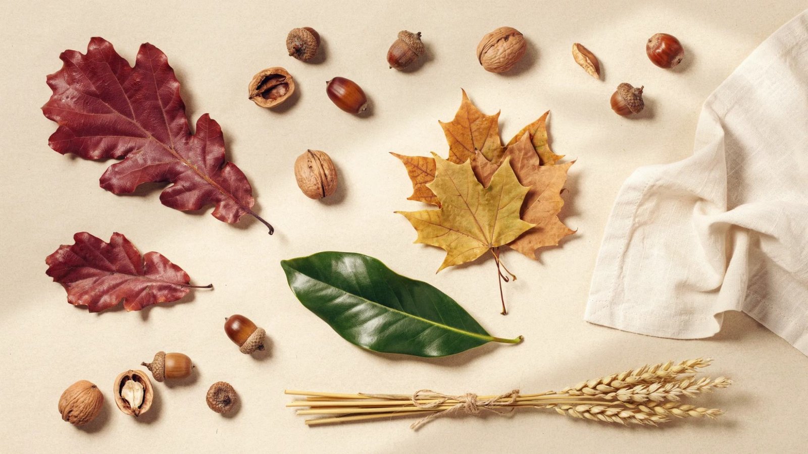 Seasonal color palettes featuring wine and burgundy shades.